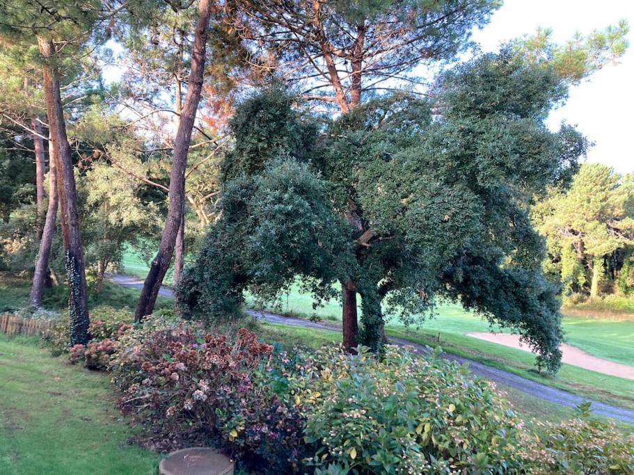 Vue Golf Dans Residence Nature "Sympalappart" Мольез-е-Маа Экстерьер фото